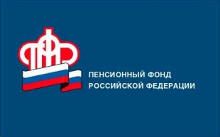 Более 20 тысяч жителей Санкт-Петербурга и Ленинградской области подтвердили статус предпенсионера в электронном виде