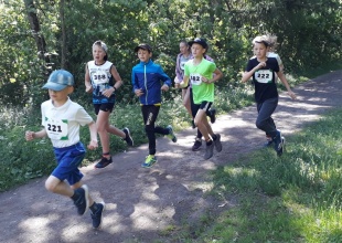 ������ ������ �������