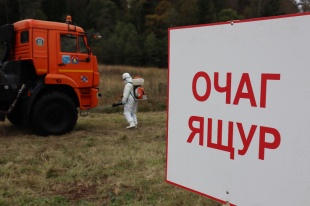 ������������� ������������, ��������� ������� � ����������� ������ � �. ��������