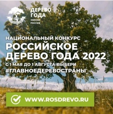 �������� ���������� ������ ���� - 2022!