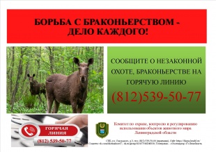 Горячая линия по борьбе с браконьерством на территории Ленинградской области