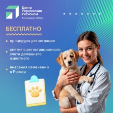 ����������� �������� �������� �� ���������� ������������� �������