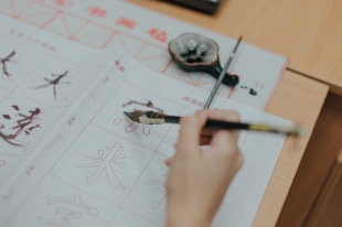 ����� ���������� ����� 