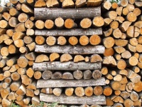 Информация о получении безвозмездной древесины для отопления домов (квартир)  в зимний период 