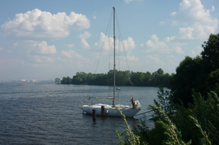 ����������� ��������� ���������� �����